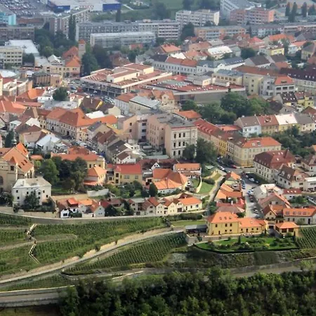 Hotel Jaro *